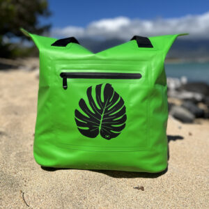 green w: monstera leaf