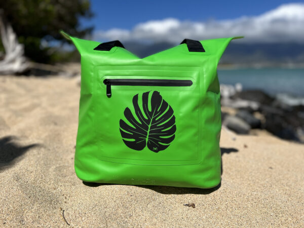 green w: monstera leaf